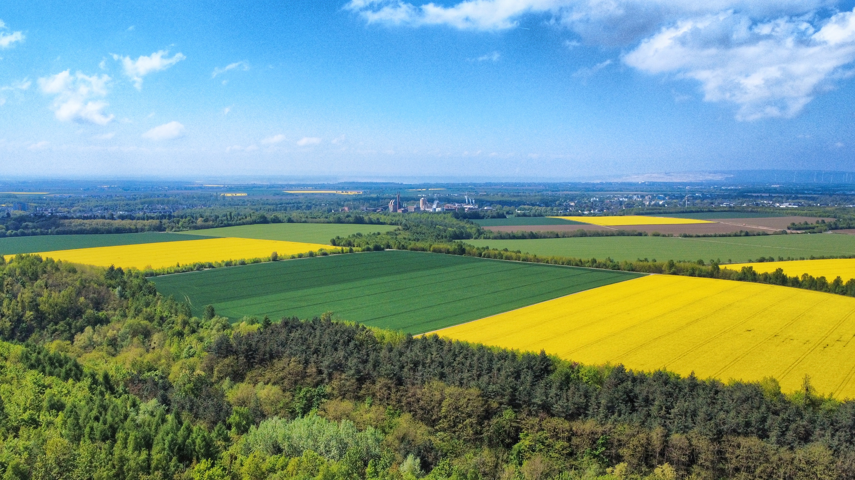 Panorama