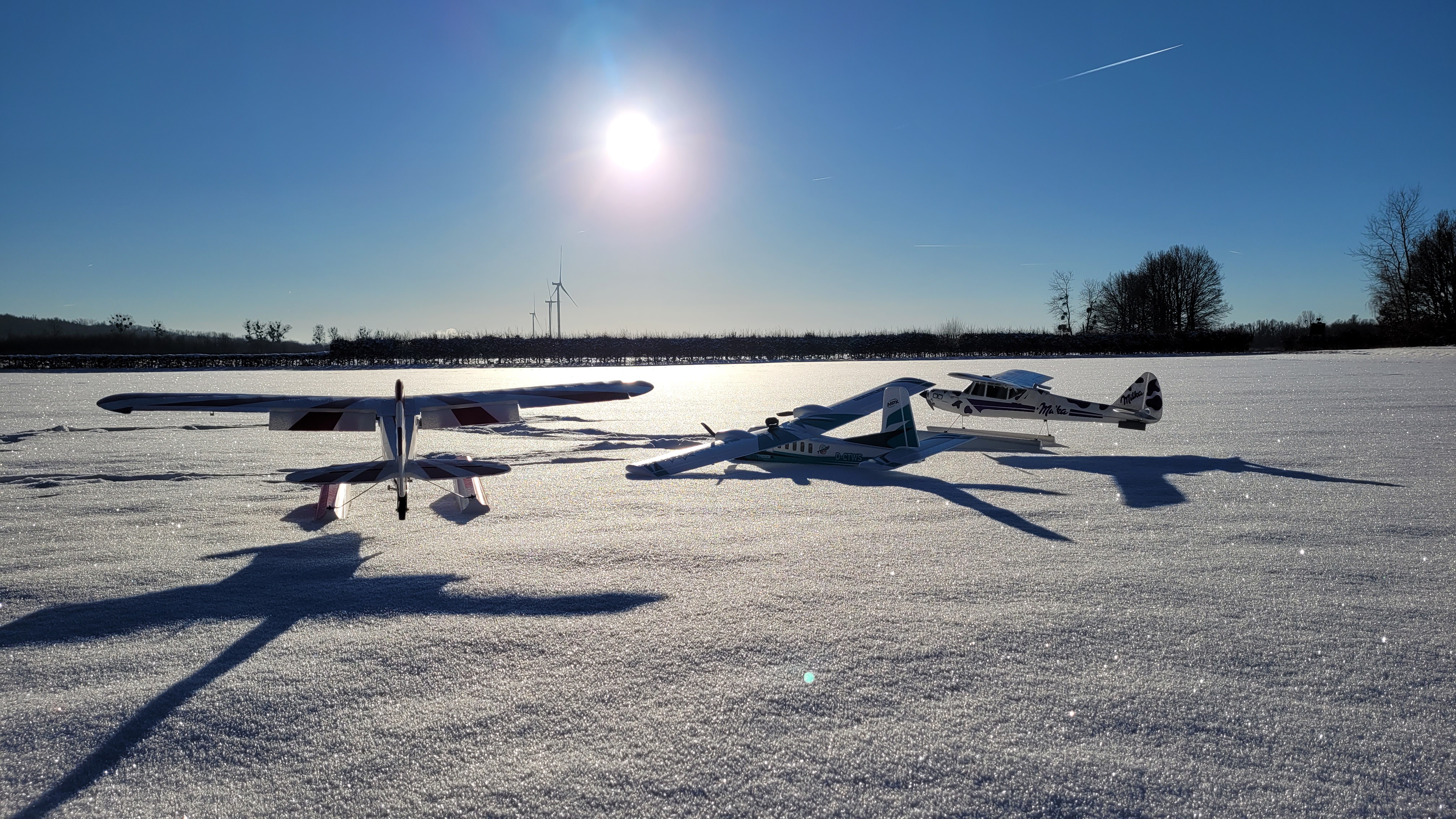 Winterfliegen