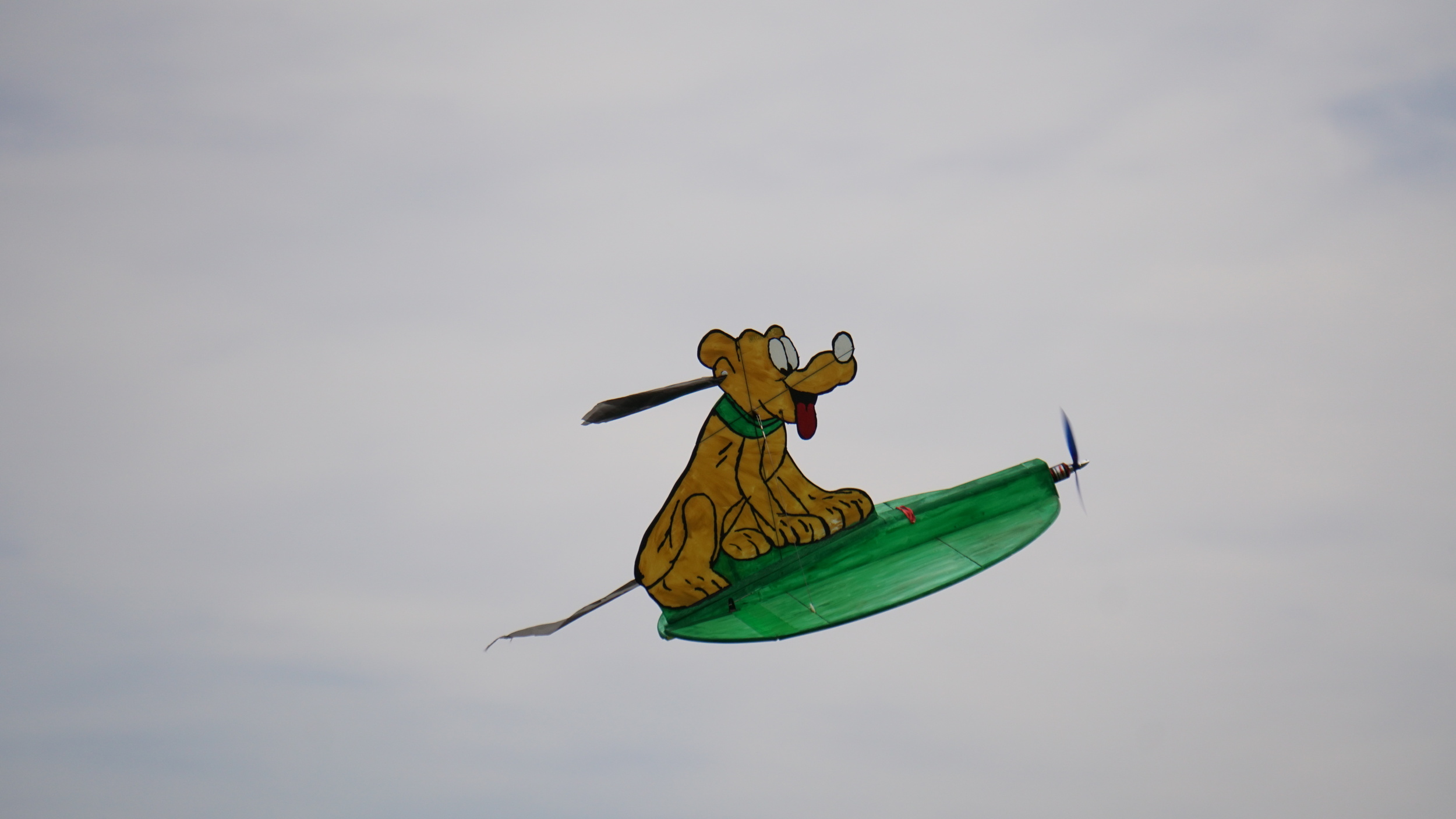 Hochleistungshund